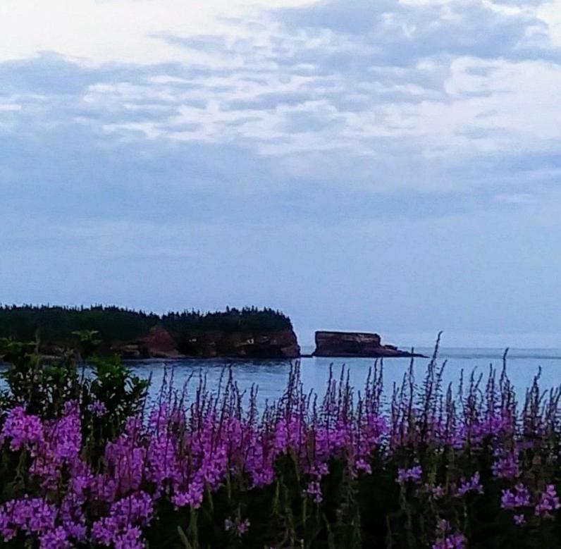 Moore'S Specialties Fundy Bay House Rental Gardner Creek Kültér fotó