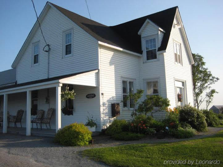 Moore'S Specialties Fundy Bay House Rental Gardner Creek Kültér fotó