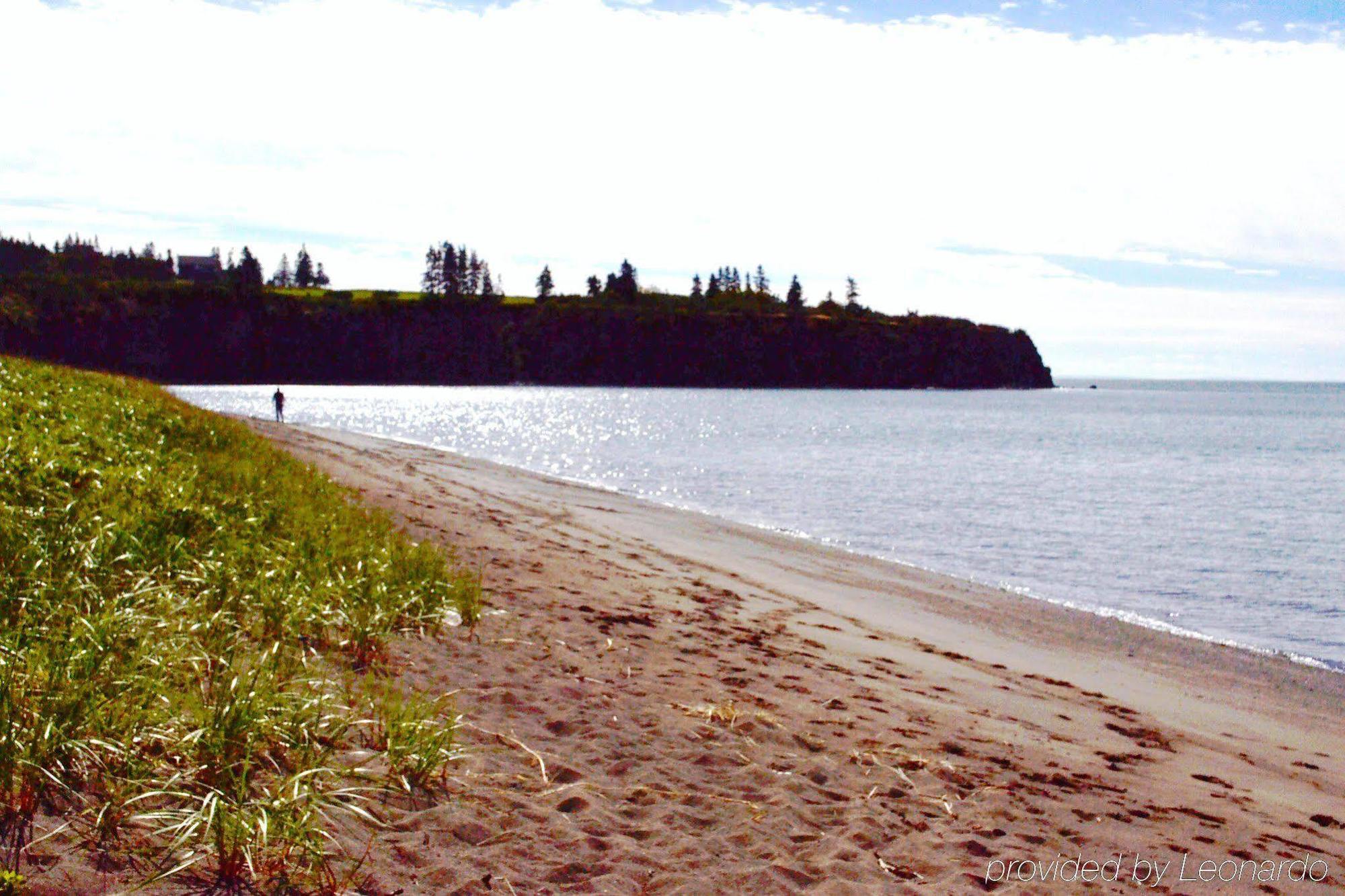 Moore'S Specialties Fundy Bay House Rental Gardner Creek Kültér fotó