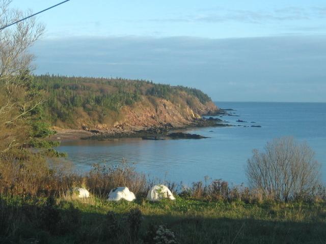 Moore'S Specialties Fundy Bay House Rental Gardner Creek Kültér fotó