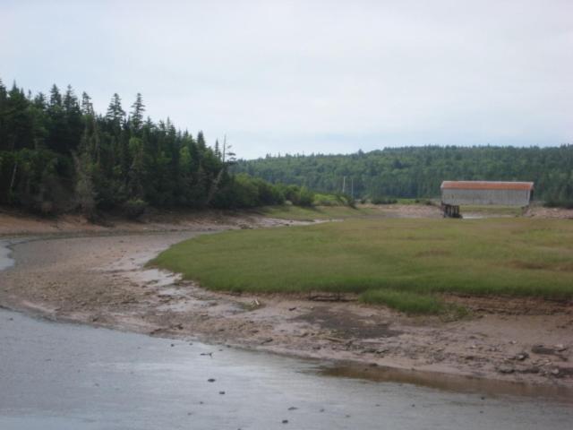 Moore'S Specialties Fundy Bay House Rental Gardner Creek Kültér fotó